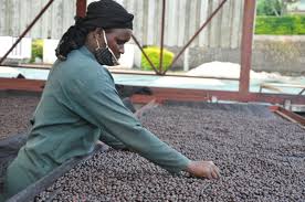 Strategic Investments and Partnerships